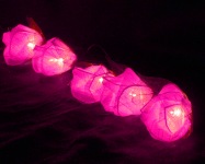 Pink Roses String - 35 fairy lights - 3 metres